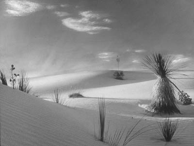 Desert Dunes black-and-white